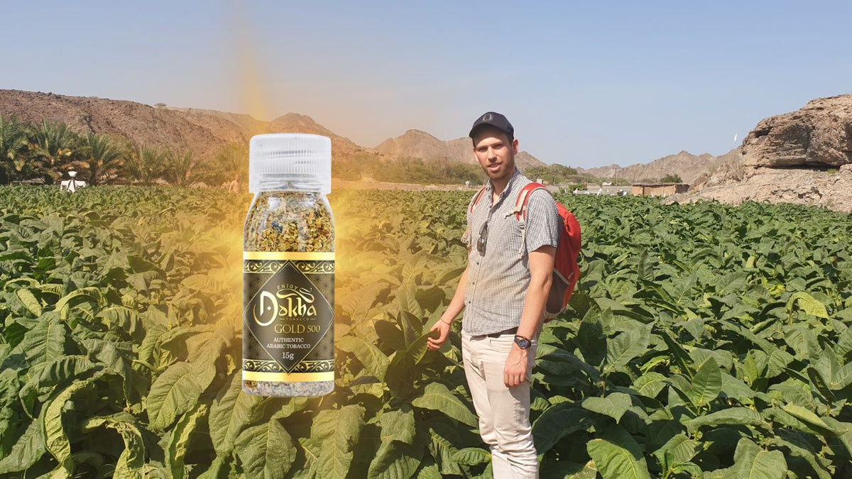 Why Medium Strength Dokha is the UAE’s Most Popular Choice – Enjoy ...